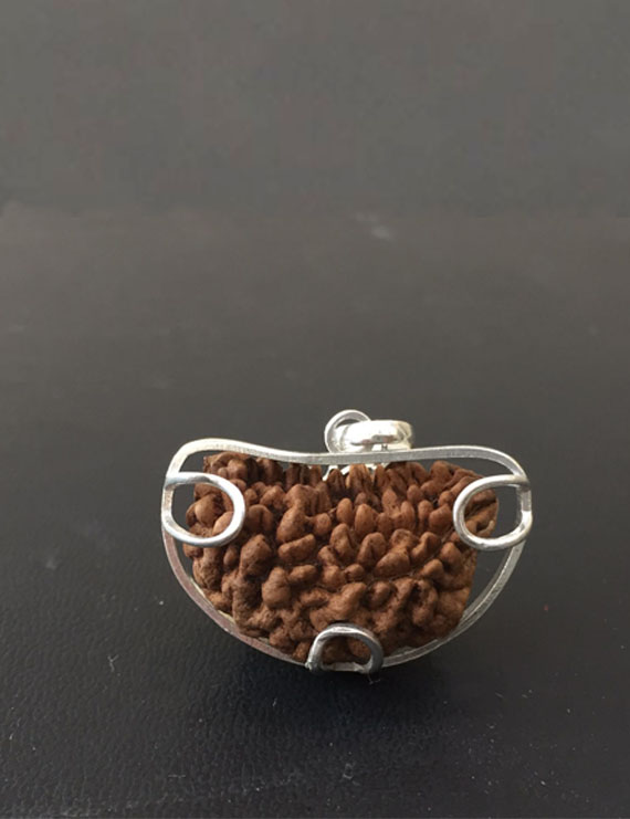 1 Face/Mukhi Certified Rudraksha Silver Pendant